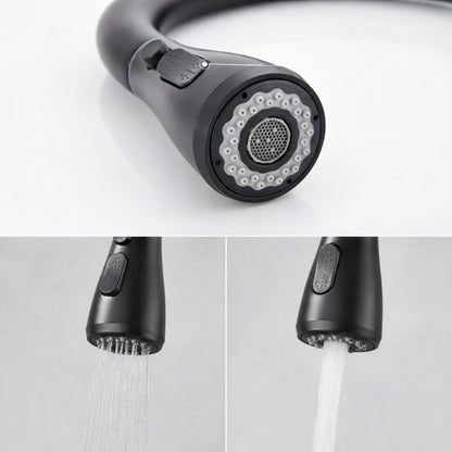 Kitchen Faucet Pull-Out Steel Single-Handle Black