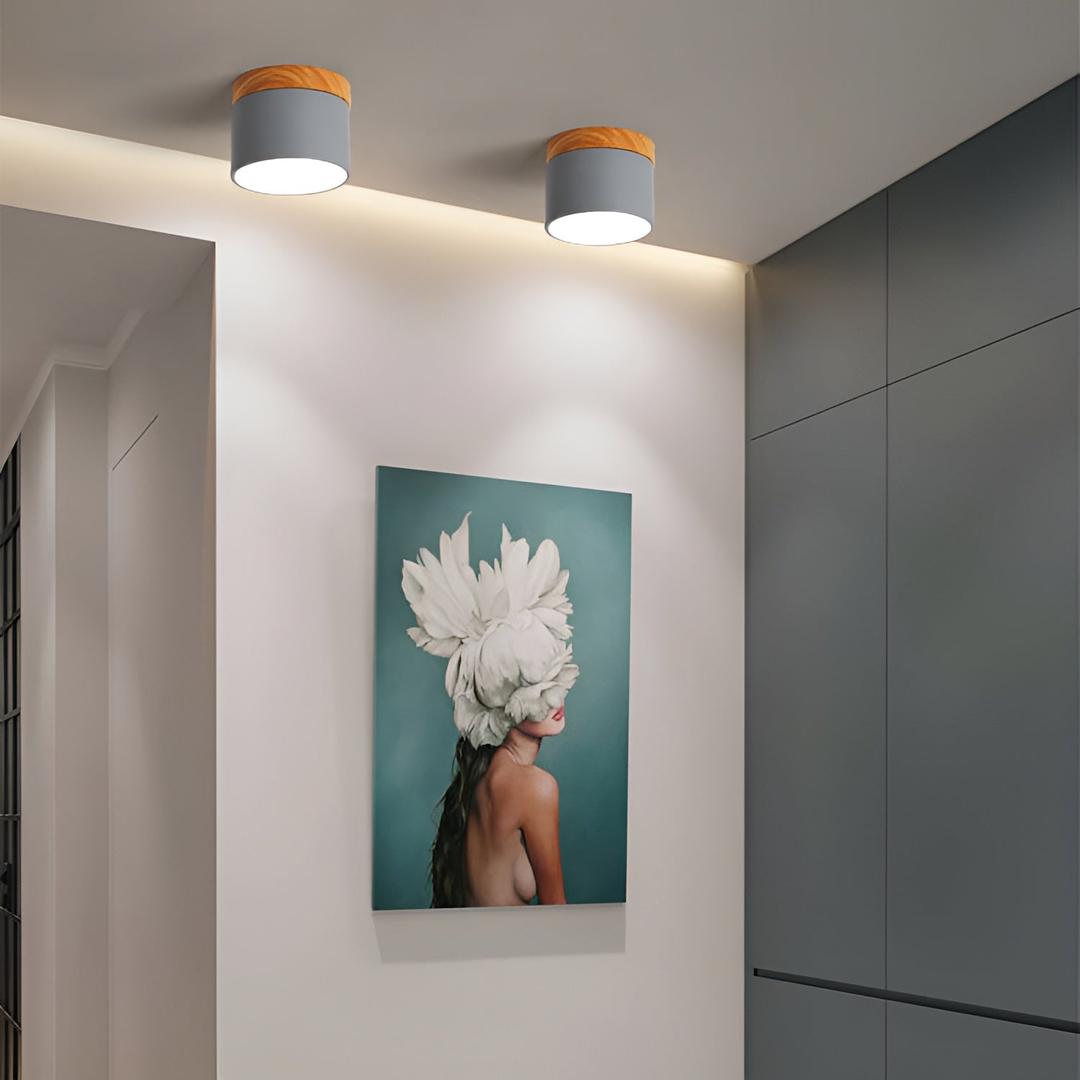 Surface-Mounted Cylindrical Ceiling Lamp | Vintage Style