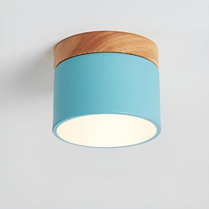 Surface-Mounted Cylindrical Ceiling Lamp | Vintage Style