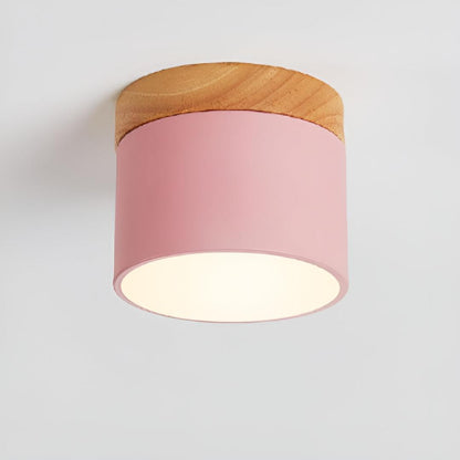 Surface-Mounted Cylindrical Ceiling Lamp | Vintage Style