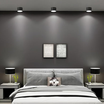 Surface-Mounted Cylindrical Ceiling Lamp | Vintage Style