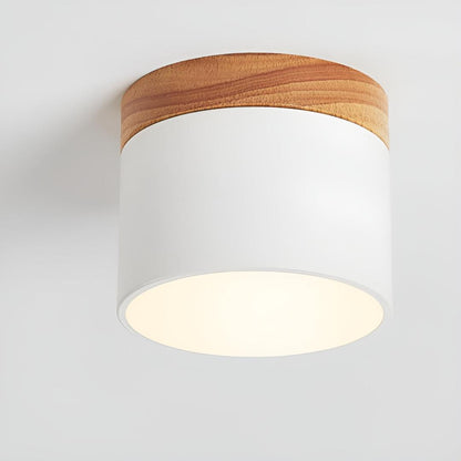 Surface-Mounted Cylindrical Ceiling Lamp | Vintage Style