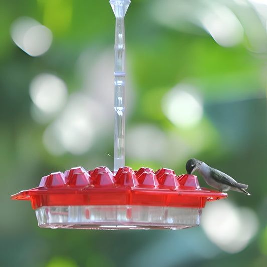 Hummingbird Hanging Garden Bird Feeder Plastic