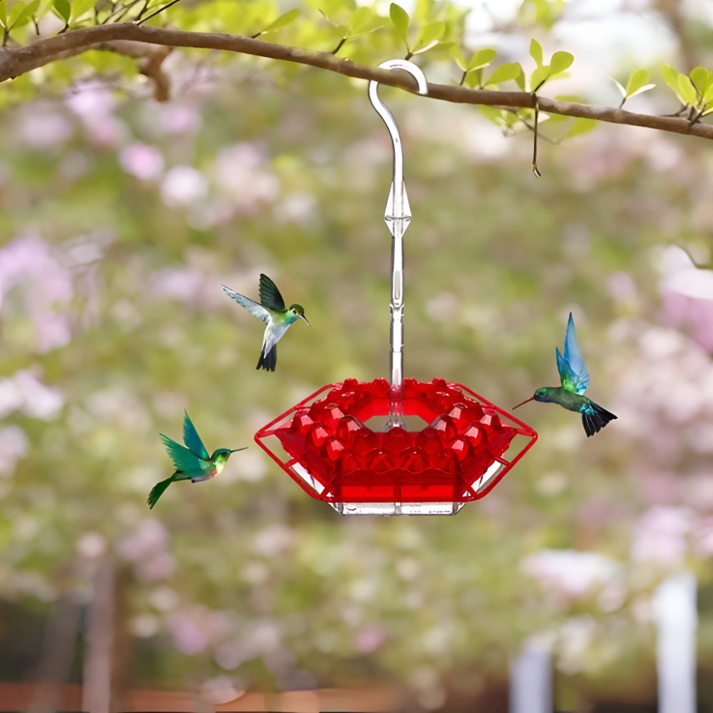 Karmnik Ptaków Koliber Wiszący Ogrodowy Plastikowy