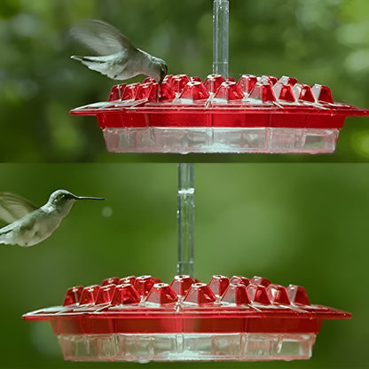 Karmnik Ptaków Koliber Wiszący Ogrodowy Plastikowy