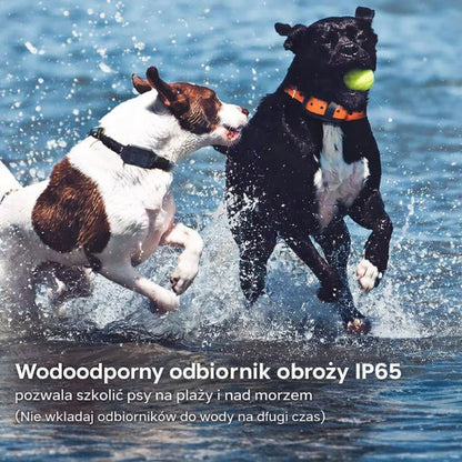 Obroża Dla Psa Treningowa Sterowana Pilotem Wibracja Dźwięk Impuls