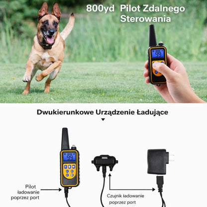 Obroża Dla Psa Treningowa Sterowana Pilotem Wibracja Dźwięk Impuls