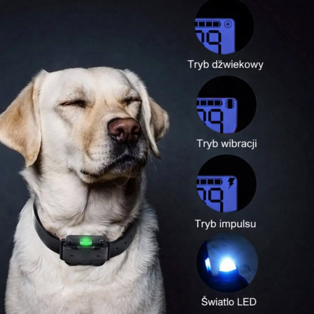 Obroża Dla Psa Treningowa Sterowana Pilotem Wibracja Dźwięk Impuls