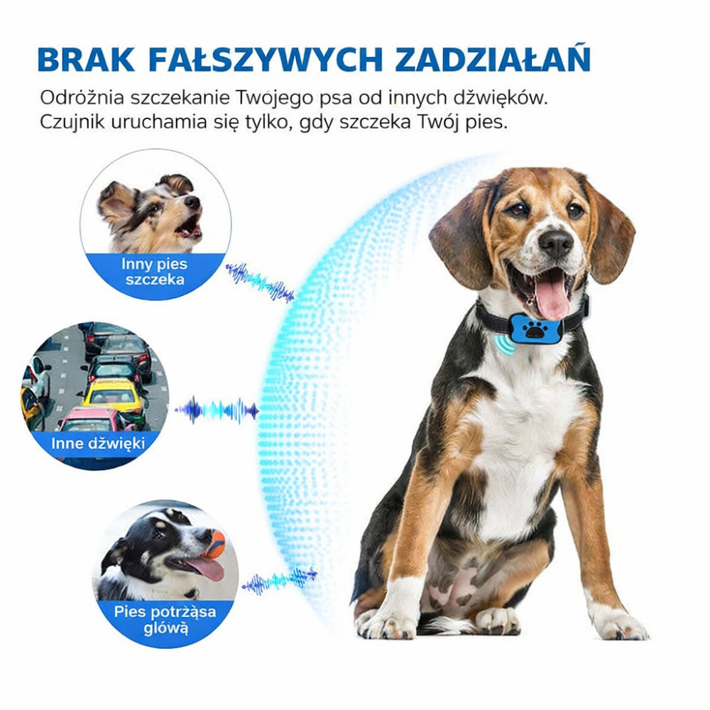 Pies Obroża Antyszczekowa Trening Zachowania Regulowana