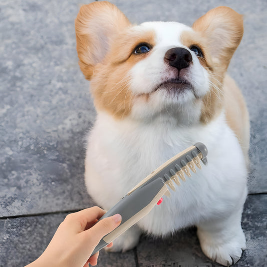 Animal Brush Fur Untangling Care