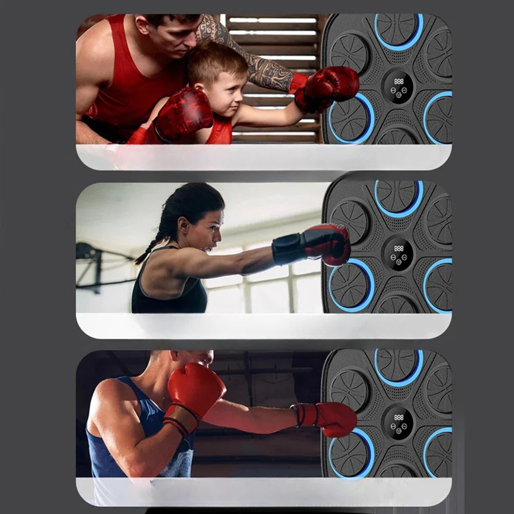 Wall-Mounted Boxing Trainer for Reaction Home Training
