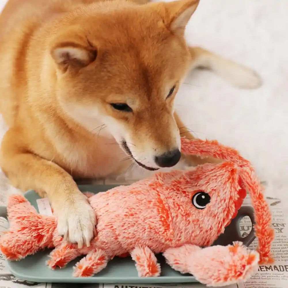 Interactive Lobster Dog Moving Toy