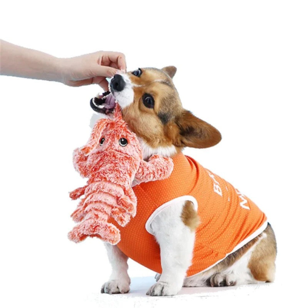 Interactive Lobster Dog Moving Toy